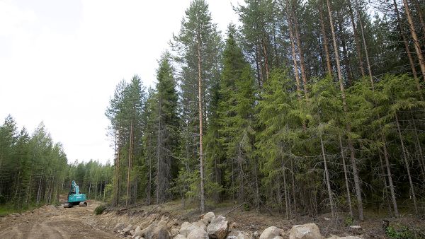 Otson keskeneräiset kemerahankkeet, joihin lukeutuu paljon metsätien kunnostuksia, ovat konkurssipesän omistuksessa. Konkurssipesän hoitajan johdolla etsitään parhaillaan toimijaa, joka veisi hankkeet loppuun.   (Kuvaaja: Sami Karppinen)