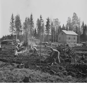 Pellonraivausta Mäntsälässä 1949. (Kuva: Pekka Kyytinen, Museovirasto)