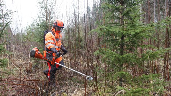 Technical sadeasun istuvuus on erinomainen raivuutyöhön.  (Kuvaaja: Sami Karppinen)