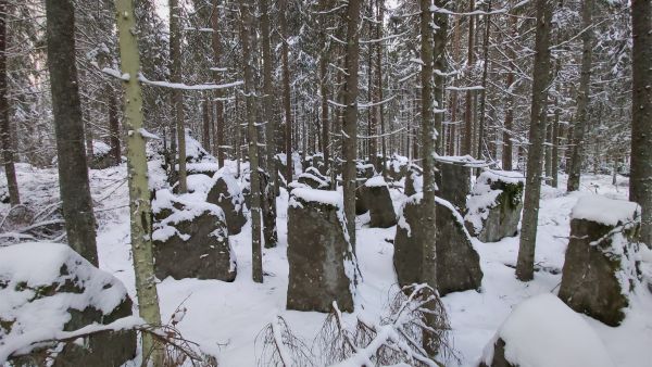 Virolahdella myytiin tilaa, jonka sisällä kulkee Salpalinja. Se on edelleen Suomen suurin rakennustyömaa. Kuva: Hannu Liljeroos