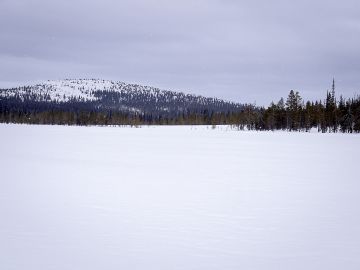   (Kuvaaja: Metsähallitus, Anna Pakkanen)