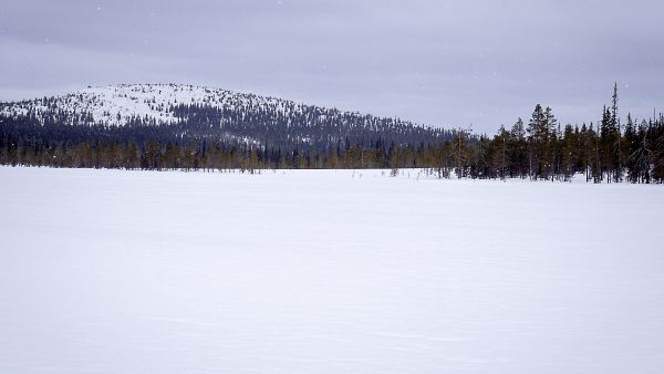   (Kuvaaja: Metsähallitus, Anna Pakkanen)