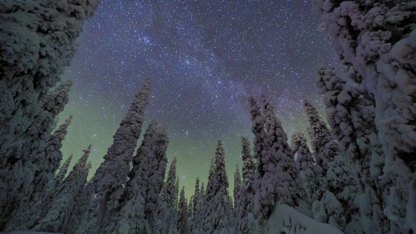 Lumisten kuusien takana näkyi tuhansia tähtiä, linnunradan hailakka vyö ja sen alla vihreää revontulivaloa. En kuullut pienintäkään ääntä, en mitään.  