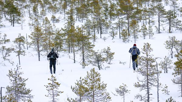 Liukulumikengillä talvinen luonto avautuu kulkijalle. (Kuvaaja: Sami Karppinen)