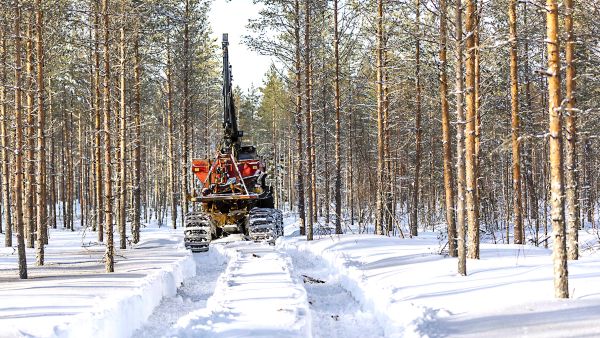 Harvennetun turvemaamännikön tuhkalannoitus aloitettiin Utajärven Nuojualla. Koneen ohjaimissa Pohjoisen Metsälannoituspalvelun yrittäjä Sampo Moilanen. (Kuvaaja: ANTTI J. LEINONEN)