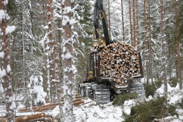 Puunkorjuuyritysten talous on tällä hetkellä pahimmissa kurimuksessa vuosikymmeneen huimasti nousseiden polttoaine-, varaosa- ja konekustannusten vuoksi. Kuvaaja Sami Karppinen.