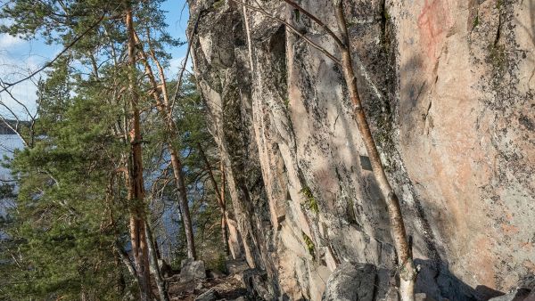 Kalliomaalauksiin tutustuu parhaiten syksyllä, talvella tai keväällä. Kesähelteillä kuvien värit näyttävät haalistuneilta ja niitä on vaikea erottaa. Kuvassa Saraakallion maalausseinää. (Kuvaaja: Hannu Eskonen)