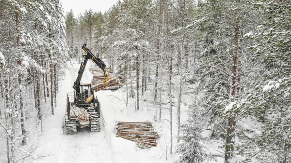 Puunostajilla oli aiemmin suurempi vastuu hakkuiden ja puunkorjuun suunnittelusta. Metsälehden kyselyn mukaan korjuusuunnittelu maastossa on siirtymässä entistä vahvemmin puunkorjuuyritysten harteille.  