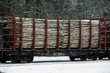 Venäläiselle koivukuitupuulle joudutaan etsimään korvaaja, jos Venäjän hyökkäys Ukrainaan tyrehdyttää itäpuun tuonnin. (Kuvaaja: Matti Björkman)