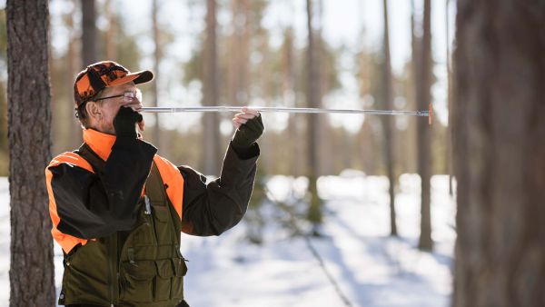 Hannu Liljeroos on huomannut, että tila-arvioissa voi olla isoja virheitä puuston tukkiosuuden suhteen. Metsätilan ostajan kannattaakin kiinnittää huomiota paitsi puuston määrään, myös laatuun. (Kuva: Seppo Samuli)