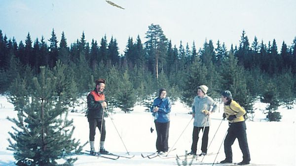 Jouko Juurikkala (vas.) ja hänen vaimonsa Elli Juurikkala (toinen oikealta) tapasivat Terrisuolla hiihtolenkillä naapurit vuonna 1962. Tuolloin suo oli jo ojitettu, mutta Juurikkala ei vielä ollut kaatanut puustoa suolta pois. (Kuvaaja: Jouko Juurikkalan valokuvakokoelma)