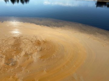 Suopursuruosteen muodostama, keltaruskea lautta veden pinnalla.  (Kuvaaja: Kainuun ely-keskus)