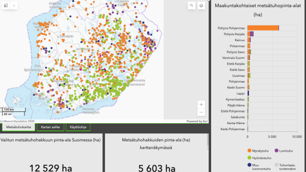 Karttapalvelun avulla  metsänomistajat voivat seurata  hyönteistuhojen ilmaantumista ja etenemistä.   