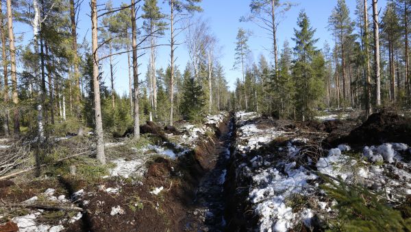 Metka mahdollistaa myös vesitalouden kunnossapidon suunnittelun, mutta varsinaiseen ojien kunnostustyöhön ei jatkossa myönnetä tukea. (Kuvaaja: Sami Karppinen)