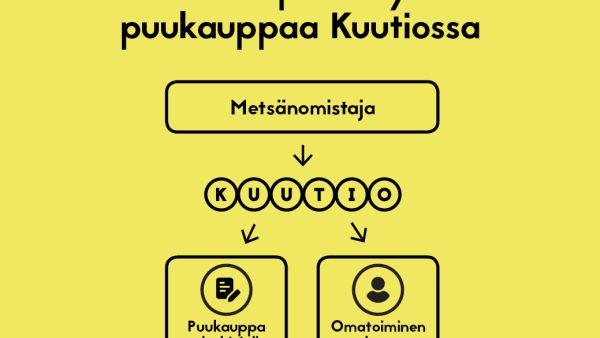 Kuutiossa metsänomistaja voi valita haluaako kilpailuttaa puukaupat omatoimisesti vai metsäammattilaisen, kuten metsänhoitoyhdistyksen avulla.