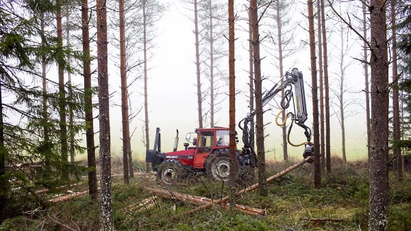 Polttoaine- ja konekustannusten nousu syö parantuneen puunhinnan iloa niiltä hankintahakkaajilta, jotka tekevät omatoimisia korjuita metsäkoneilla. Kevyemmällä kalustolla, kuten maataloustraktorin metsävarustuksella, tehty hankintapuu saattaa sen sijaan lyödä nyt leiville. (Kuvaaja: Sami Karppinen)