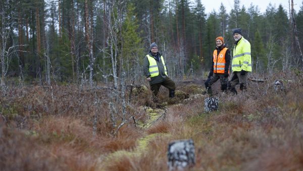 Tornatorin luonnonhoidon asiantuntija Rauli Perkiö (vas.), Stora Enson ympäristöpäällikkö Niina Partanen sekä Tornatorin tilavastaava Timo Vartiainen toteavat, että ojat saavat sammaloitua tällä kohteella jatkossa rauhassa. Taustalla näkyy sarkaojaan tehty pato. (Kuva Sami Karppinen)