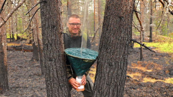 Metsähallituksen Luontopalvelujen suunnittelija Eerikki Rundgren