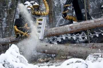 Metsiin kohdistuu monensuuntaista painetta. Investointien vuoksi hakkuumäärät ovat nousussa (Kuvaaja: Sami Karppinen)