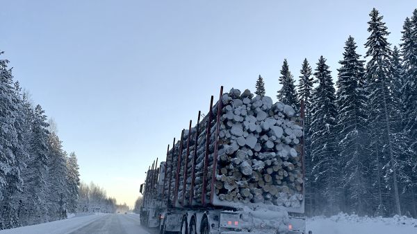 Metsäalan investoinnit edellyttävät, että puuta saadaan liikkumaan jatkossa nykyistä suurempia määriä. Tätä varten tarvitaan lisää puutavara-auton kuljettajia. (Kuvaaja: Tiia Puukila)