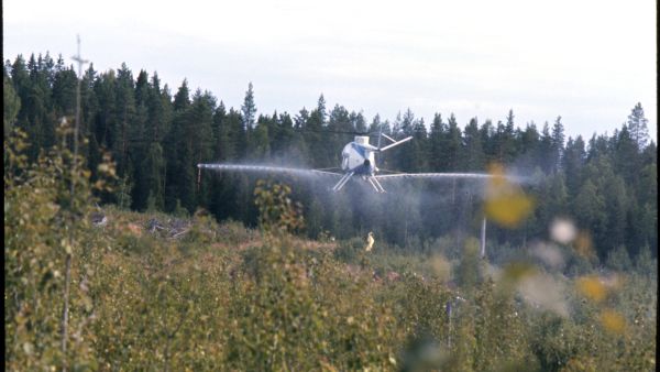 Vesakkomyrkytysten puolustajat perustelivat toimintaa erityisesti kustannustehokkuudella. Kuvassa torjunta-ainetta levitetään taimikkoon Metsähallituksen maalla Parkanossa vuonna 1975. (Kuvaaja: Metsähallituksen kokoelma, Lusto - Suomen metsämuseo)