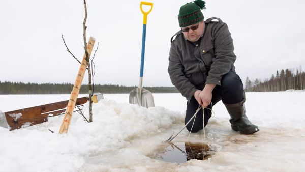 Kansainvälistä imastoraporttiakin kirjoittamassa ollut Tero Mustonen työskentelee myös kalastajana. 