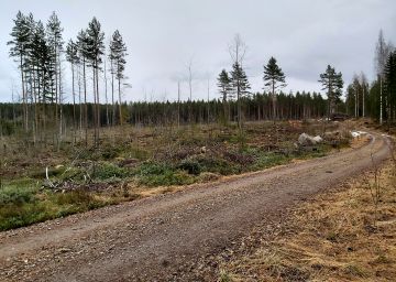 Pirkanmaalainen tila oli monella tapaa hyvä ja aktiivisesti hoidettu, mutta kiireellä tehdyssä tila-arviossa oli epätarkkuuksia etenkin uusimpien hakkuiden osalta. (Kuvaaja: Hannu Liljeroos)