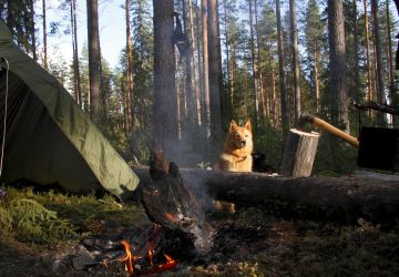 Metsästyslain ja erävalvontalain muutosten odotetaan tuovan lisää tehokkuutta erävalvontaan. Metsästysrikoksista uskotaan paljastuvan vain murto-osan. (Kuvaaja: Sami Karppinen)