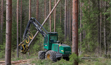 Hakkuiden rajoittaminen auttaisi EU:ta hiilinielutavoitteiden saavuttamisessa jonkin aikaa, mutta pidemmällä aikavälillä rajoitukset vain heikentäisivät nieluja entisestään. (Kuva: Mikko Riikilä)