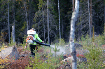 Metsälehden viime syksynä julkaisemalla videolla kokeiltiin Tricon levitystä moottoriruiskulla. Levitystapa on Ruokaviraston mukaan lainvastainen. (Kuva: Sami Karppinen)