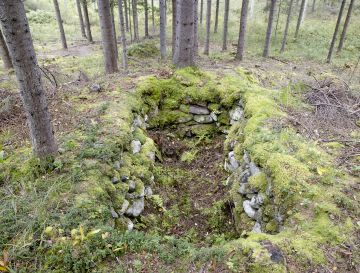 Kaskiajan nauriskuoppa Lieksan Varpovaaralta. Kuoppa on kaivettu etelärinteeseen, sen seinämät on vahvistettu kiveyksellä ja kuopanpohjalle kertyvä vesi johdettu kiveystä myöten alarinteeseen kaivettuun ojaan. Kuopan ikää voi vain arvailla. (Kuvaaja: Ari Komulainen)