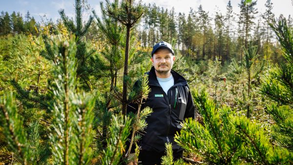 Metsän- ja luonnonhoidon asiakasneuvoja Mika Tuomainen Metsäkeskuksesta esitteli viime viikolla Karjaalla Sorkka-hankkeen pilottikohdetta, jossa mäntytaimikkoon on jätetty kasvamaan 5 000 runkoa hehtaarille, jotta hirville riittäisi ravintoa. (Kuvaaja: Seppo Samuli)