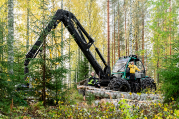 Riga Wood on reagoinut koivutukin niukkuuteen aloittamalla oman suoran koivutukkileimikoiden oston, metsäpäällikkö Timo Uotila kertoo. Juuso Laukkanen Punkaharjun Metsäpalvelu Oy LKV:stä korjasi koivutukkileimikon Punkaharjun Kauvonniemessä lokakuun alussa. (Kuva: Sirpa Mikkonen)