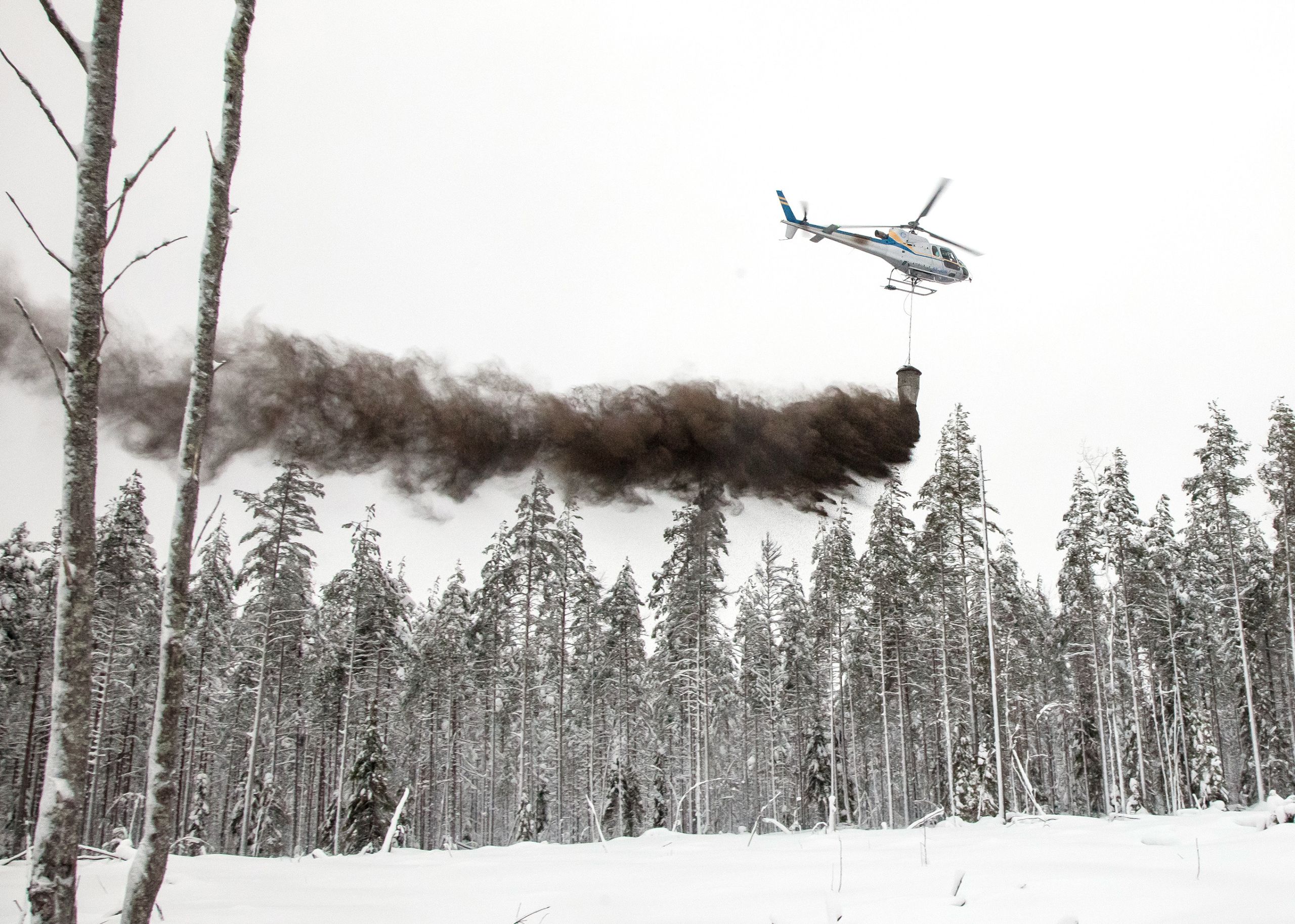 Tuhkalannoitukset ovat yleistyneet 2000-luvulla, kun puutuhkan saatavuus on parantunut. (Kuvaaja: Mikko Riikilä)