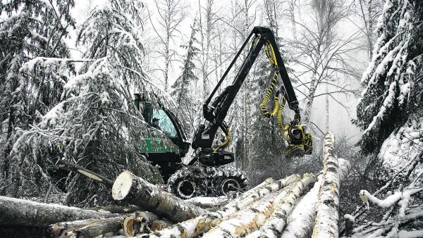 Suomen luontopaneeli ehdottaa monenlaisia rajoituksia metsänhakkuille. (Kuva: Mikko Riikilä)