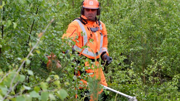 Raivaa itsesi kuntoon -hanke syntyi Juha Viirimäen ajatuksesta osoittaa mittareiden avulla, kuinka hyvää kuntoliikuntaa metsänhoitotyöt ovat. (Kuvaaja: Mika Pukkinen)