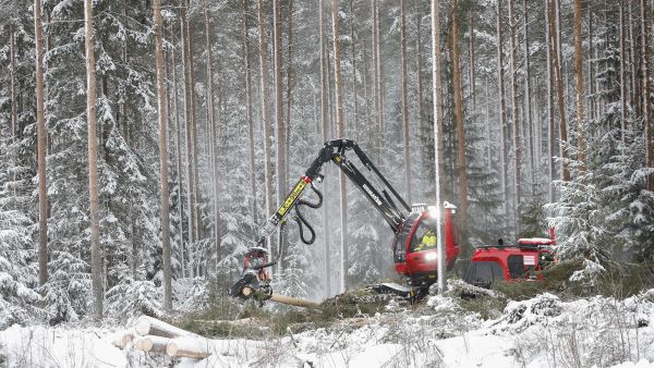 Stora Enson ensimmäinen uuden konseptin mukainen korjuuyrittäjä toimii Alajärvellä. Nyt haussa on seuraava yrittäjä Lieksaan.
Kuvaaja: Sami Karppinen