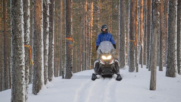 Metsähallituksen aluepäällikkö Jussi Moilanen liikkui viime viikolla moottorikelkalla Iso-Valkeisen rantametsän
avohakkuuleimikolla käytöstä poistettua UKK-reittiä pitkin. Tällä kohtaa metsä hakataan reitin molemmin puolin, mutta polkua varotaan hakkuissa. Kuva: Ari Komulainen.