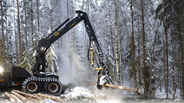 Vuonna 2014 uudistettu metsälaki salli jatkuvan kasvatuksen ja toi metsänomistajalle vapauden päättää, milloin metsänsä uudistaa. (Kuva: Sami Karppinen)