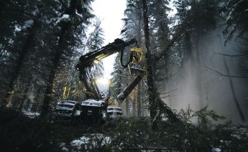 Metsätalouden tulosta voi parantaa hakkuita lisäämällä.