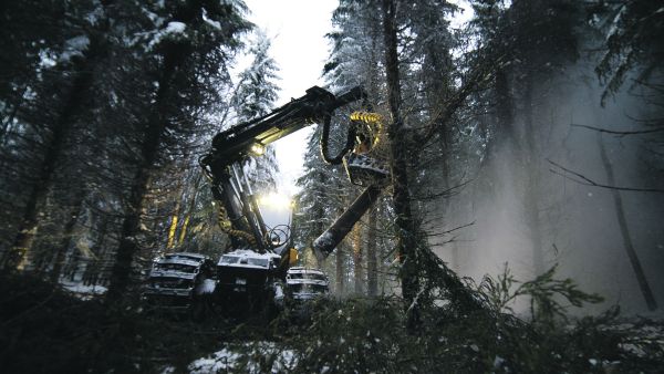 Metsätalouden tulosta voi parantaa hakkuita lisäämällä.