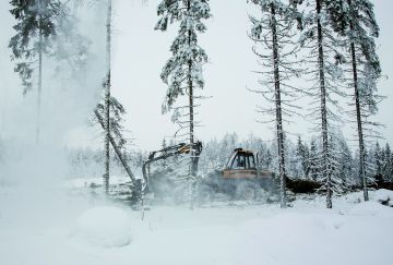 Avohakkuiden osuus seurakuntien metsissä on vähenemään päin. (Kuva: Mikko Riikilä)