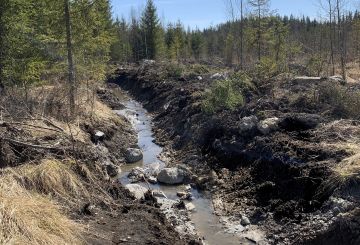 Metsälehden ely-keskuksille tekemien kyselyiden perusteella uudisojituksista tehdään vähän ilmoituksia. Kuvituskuva ei ole Pielaveden avosuolta. (Kuva: Tiia Puukila)