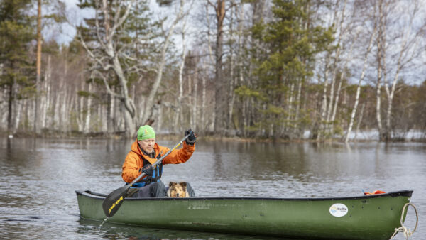 Vaikka lämpötila on juuri ja juuri plussan puolella ja kylmä vesi hohkaa vieressä, aktiivisesti melomalla saa paitansa kostumaan. (Kuvaaja: Harri Mäenpää)