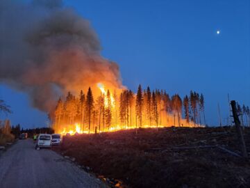 Ennallistamispolttoon on usein paremmat olosuhteet yöllä kuin päivällä. Kuva Temepan toteuttamasta ennallistamispoltosta viime perjantain ja lauantain väliseltä yöltä. Kuva: Kaapo Koponen.