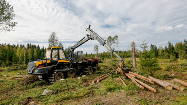 Kuusitukin kantohinta laski 83,33 euroon kuutiolta. (Kuva: Sami Karppinen)