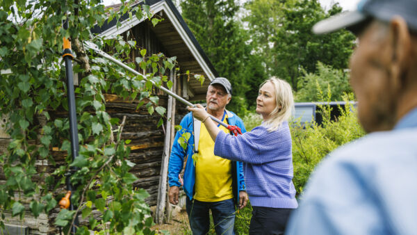 Timo Eskola opastaa tytärtään Emilia Eskolaa visakoivun karsinnassa.  (Kuvaaja: Seppo Samuli)