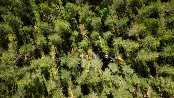 Metsänomistajien antama palaute yhtiön puunkorjuusta on parantunut viime vuosina, Metsä Groupista kerrotaan. (Kuva: Metsä Group)