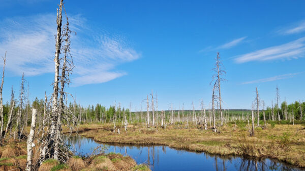 Väljäjoen suojelualue