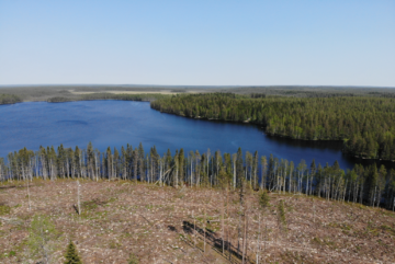 Keskustelu vesistöjen suojavyöhykkeiden leventämisestä on jo käynnistynyt raakkutuhon jälkipyykkinä. (Kuva: Sami Karppinen)